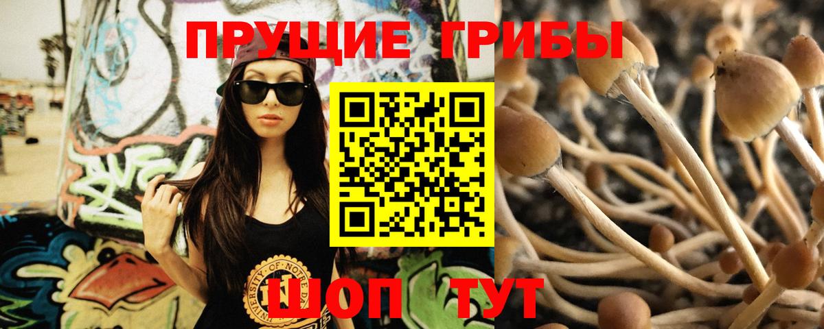 Псилоцибиновые грибы мицелий  Вход с VPN  Унеча 